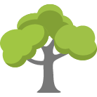 Knoxville Tree Trimming