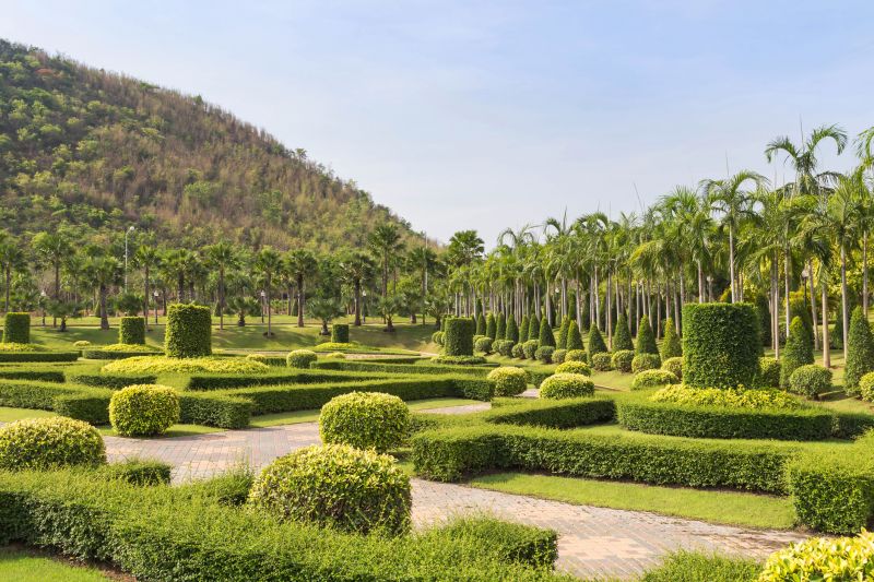 Queen Palm Tree Trimming