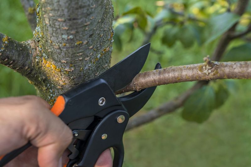 Fall Pruning